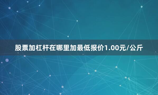 股票加杠杆在哪里加最低报价1.00元/公斤