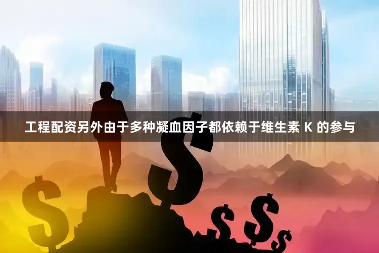 工程配资另外由于多种凝血因子都依赖于维生素 K 的参与